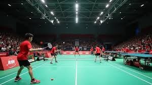 棒球与干细胞技术在运动康复的应用