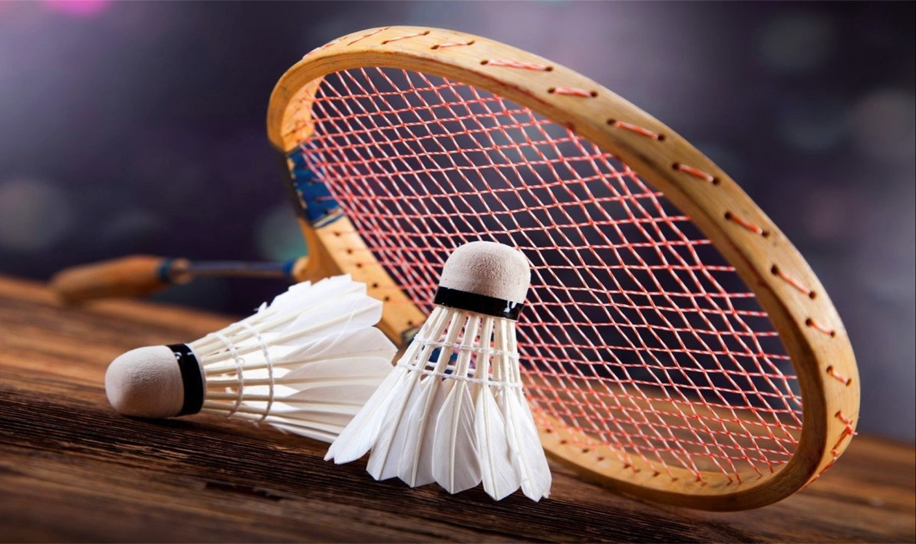 能力及团队 能力及团队