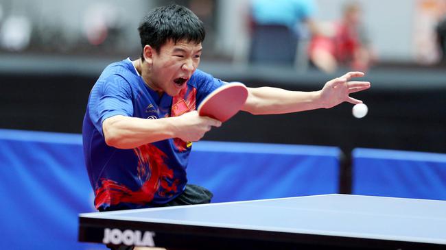 惊叹的韧性 惊叹的韧性